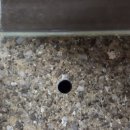 임팩코어 이미지