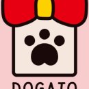 언니도그 이미지