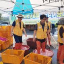 주천면 하주마을 이미지