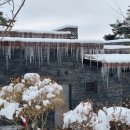 포레스트리솜 이미지