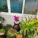 원낙골추어탕 이미지