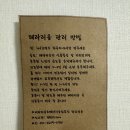 (5/21 오전반) 플라워 힐링 클래스 | 광주 비바리움 테라리움 전문 하쿠리움에서 원데이 클래스로 자연을 담아보세요.