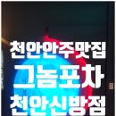 신방동 안주맛집 치킨이 너무 맛있는 술집 추천 그놈포차 천안신방점