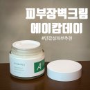 스킨데이 | 여름 수분크림추천 에이캄데이 스킨 베리어 리페어 크림 사용후기