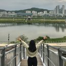 이응다리 북측 화장실 | 세종 가볼만한곳 드라이브 자전거 코스 이응다리 금강보행교 | 주차, 맛집