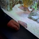 수백한상 | [일기] 지인 만나러 부산 해운대