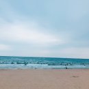 바오토스트