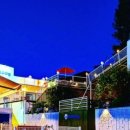 논산애견 이미지