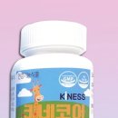 키네코어 이미지