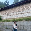 Lillycotts 릴리코츠 Peony blouse 후기 review