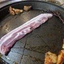 자갈집 | 의정부 가성비 삼겹살집! 자갈집 금오점 내돈내산 방문후기