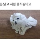 예신대전 네이버블로그