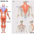 나비잠피부관리실&발로하는테라피 - 김포시 수기로 115 | 나비잠피부관리실&발로하는테라피