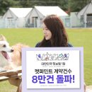 원조