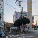 논치빵집 이미지