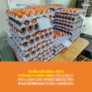 협동유통 이미지