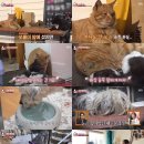비밀 이미지