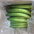 민숙농장 이미지