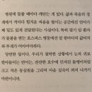 생명소중연구소고양이낭만랜드 | 18.