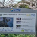 월정방풍림 이미지