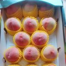 도향축산 이미지