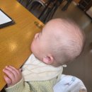 홍익돈까스(진접점) | 남양주 진접 홍익돈까스 솔직후기｜돈까스는 맛있는데 파스타는 비추 (아기랑 방문)