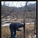 원주시농업기술센터 이미지