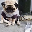 강남스크린골프(2층) 이미지