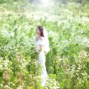 오디세이스튜디오