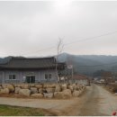 야선재