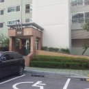 안양-안양-안양-503 네이버블로그