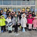 용인대 멘토 태권도장 이미지