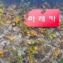 마레카