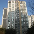 새희망내과의원 Daum카페