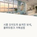경기도 시흥 오이도 오션뷰 카페, 블루트렁크 거북섬점, 가볼만한 곳