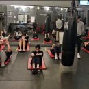 strong boxing gym 이미지