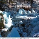 금원산 자연휴양림 이미지