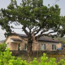 승산리경로당 이미지