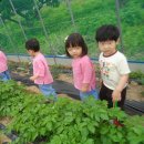 세원농장 이미지