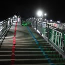 대평동_금강변길 이미지