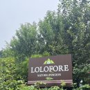 로로포레 | 가평 로로포레 펜션 솔직후기 (알레/ 바베큐 및 수영장 )