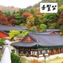 제이드스크린골프 티스토리