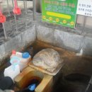 약수마을여관 이미지