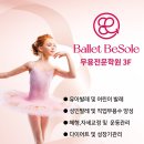 발레비솔르무용학원 이미지
