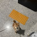 츠키네일 이미지