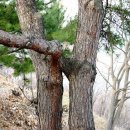 주식회사 청풍 이미지