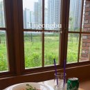 세렌디피티 이미지