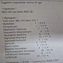 골수검사 결과 봐주세요. 이미지