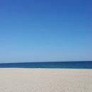 부자양봉원 이미지