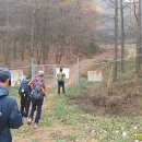 단양 옥계산 이미지